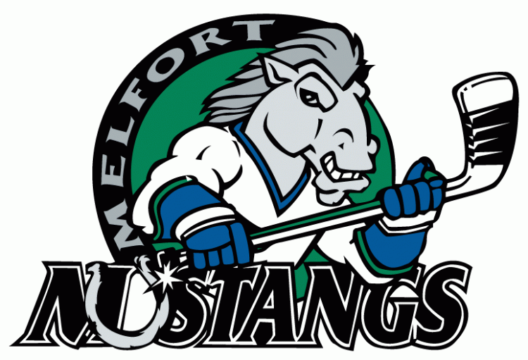 Melfort Mustangs 2001-Pres Primary Logo iron on transfers for clothing